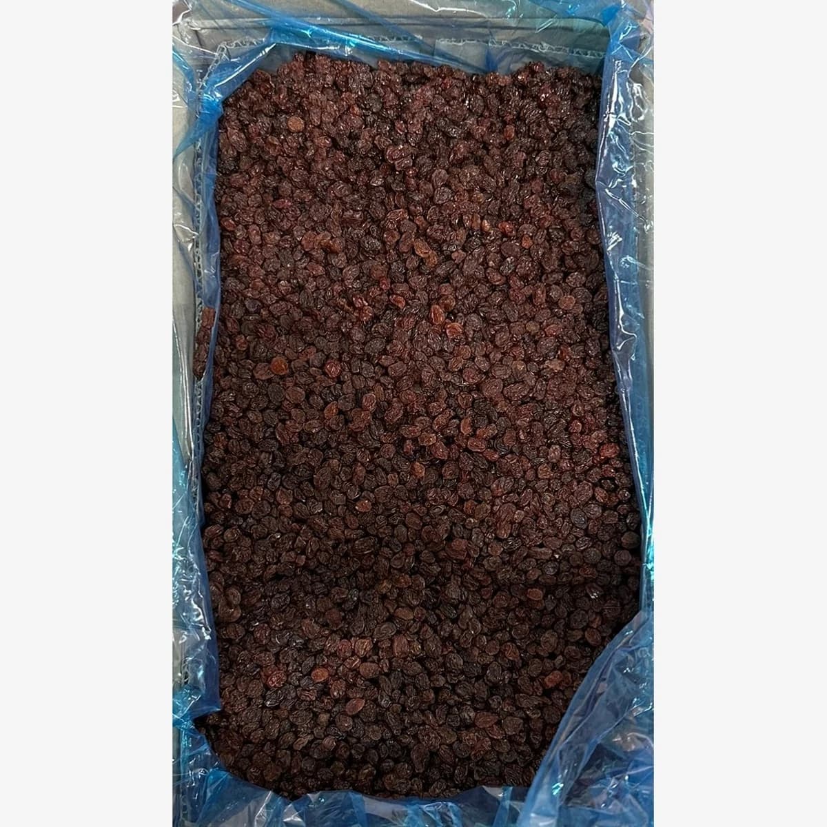 Raisins (Poloii) Ehsan