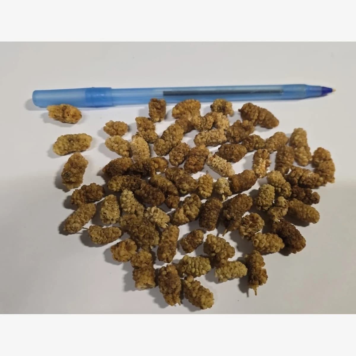 Dried Iranian Mulberry Regular