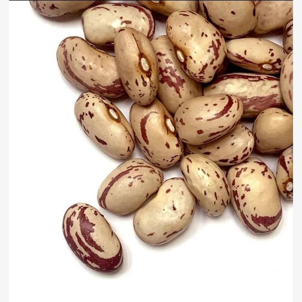 Golestan Romano Beans