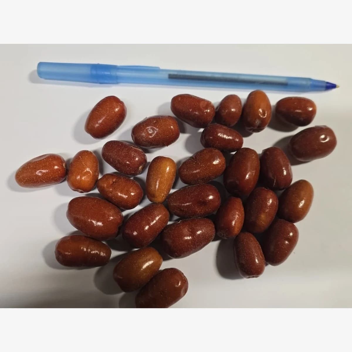 Russian Olives (Sinjed)