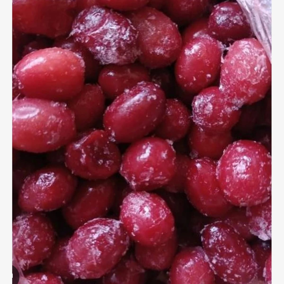 Cornelo Cherry (Zoghal Akhteh)