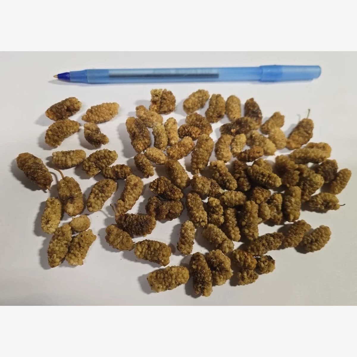 Dried Persian Mulberries Jumbo