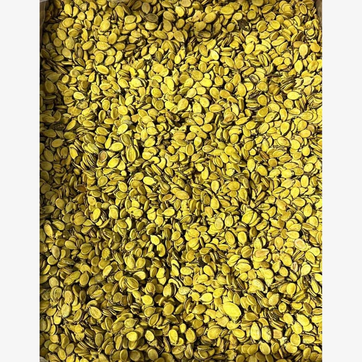 Yellow Mahboubi Seeds