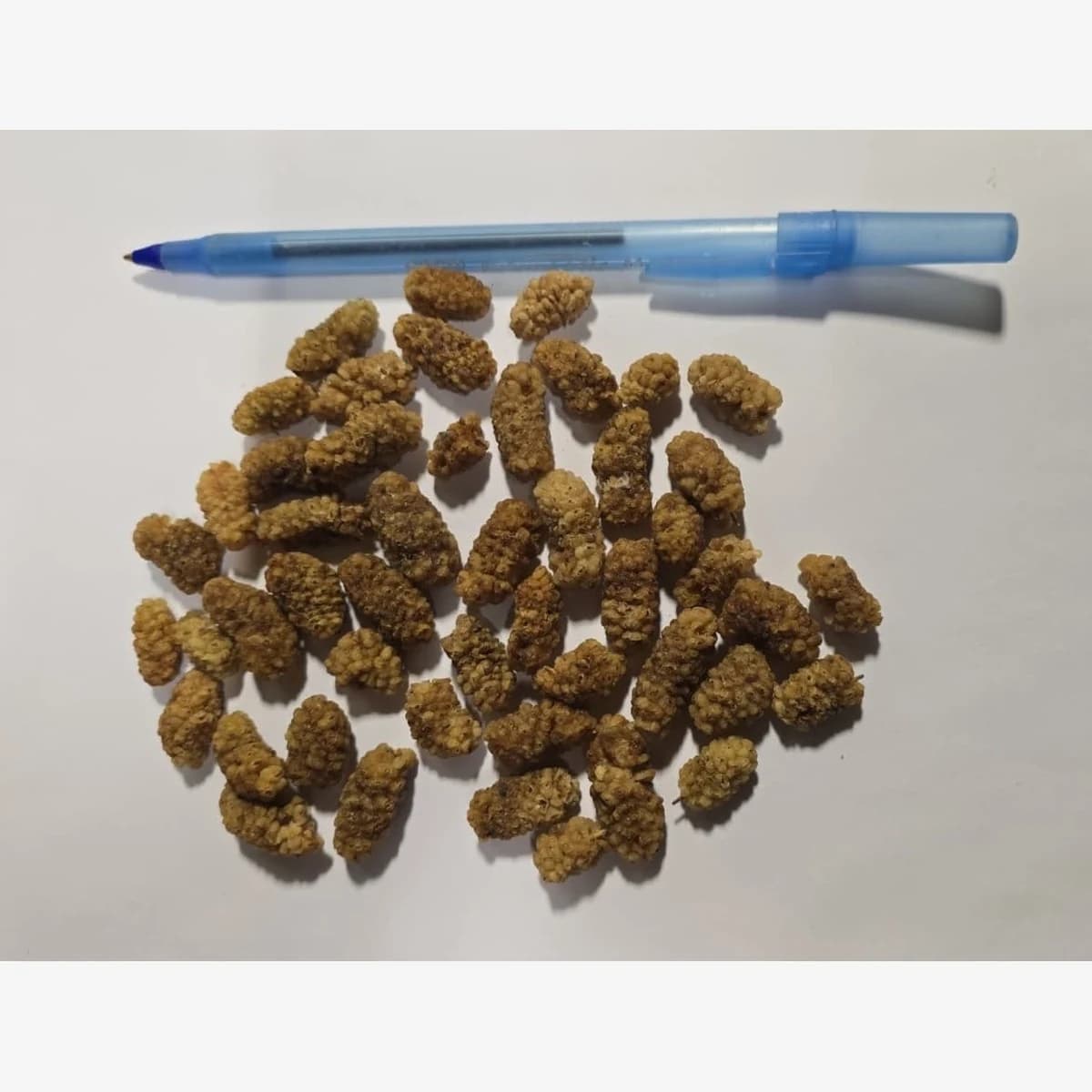 Dried Iranian White Mulberry Premium