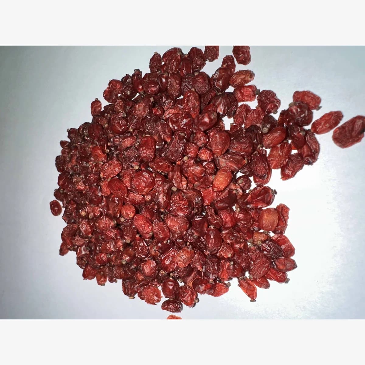 Barberry Pofaki